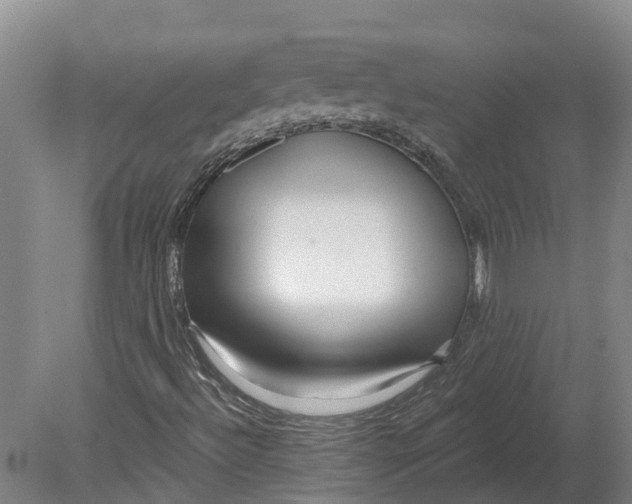 X0000080791492200701051340