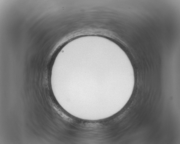 X0000080791498200701051340