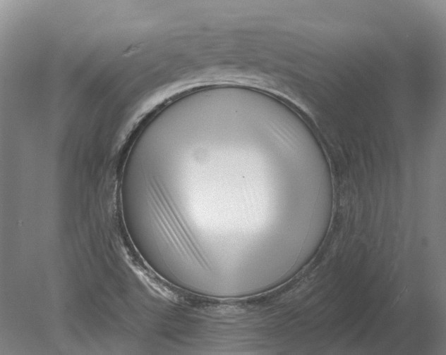 X0000080791507200701051340