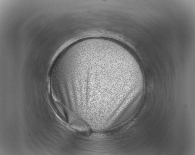 X0000080791509200701051340