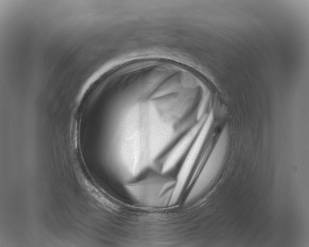 X0000080791510200701051340