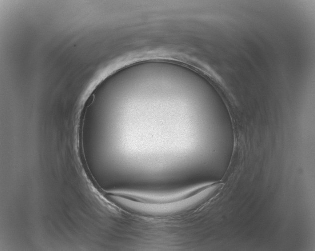 X0000080791512200701051340