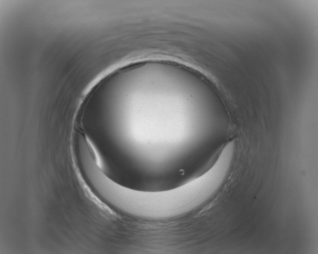X0000080791518200701051340