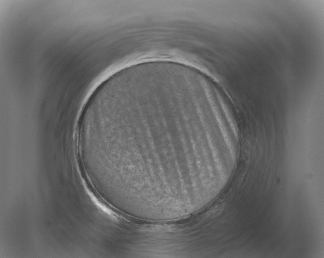 X0000080791519200701051340