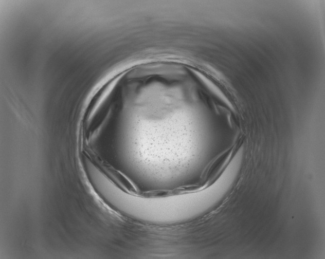 X0000080791520200701051340