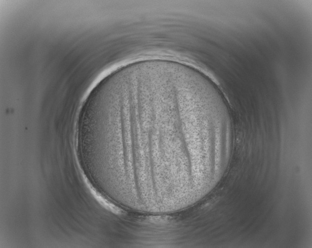 X0000080791523200701051340