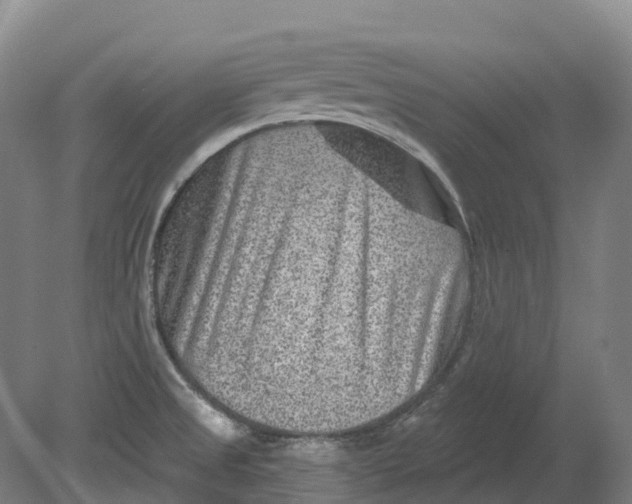 X0000080791525200701051340