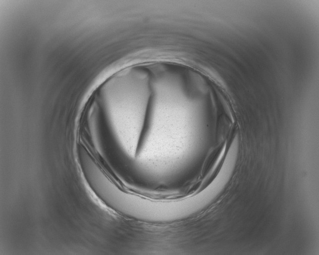 X0000080791528200701051340