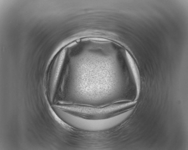 X0000080791531200701051340