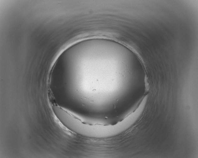 X0000080791532200701051340
