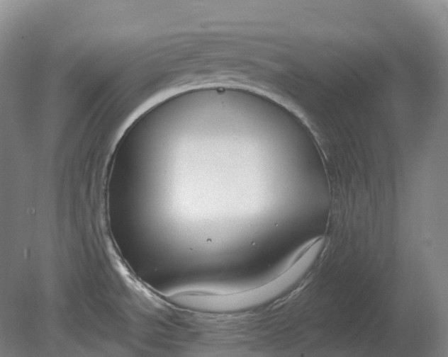 X0000080791534200701051340