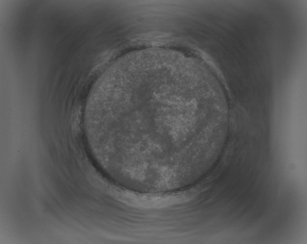 X0000080790018200701122159