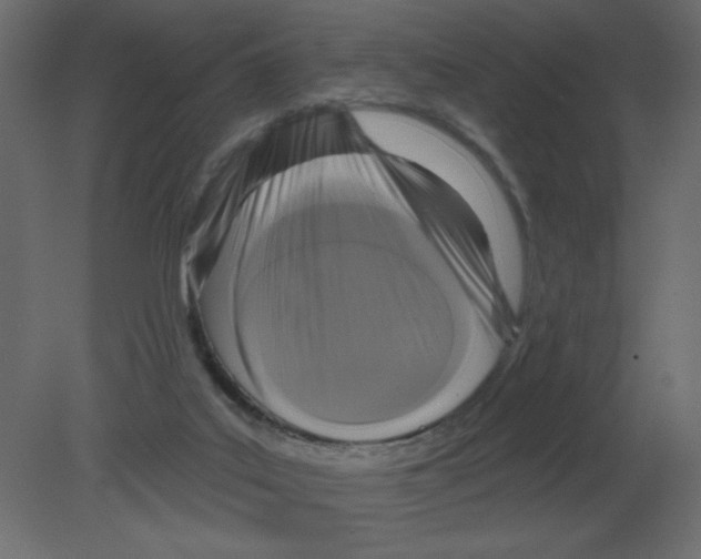 X0000080790019200701122159