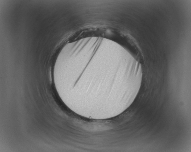 X0000080790020200701122159