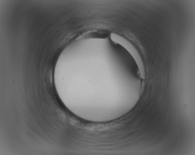 X0000080790021200701122159