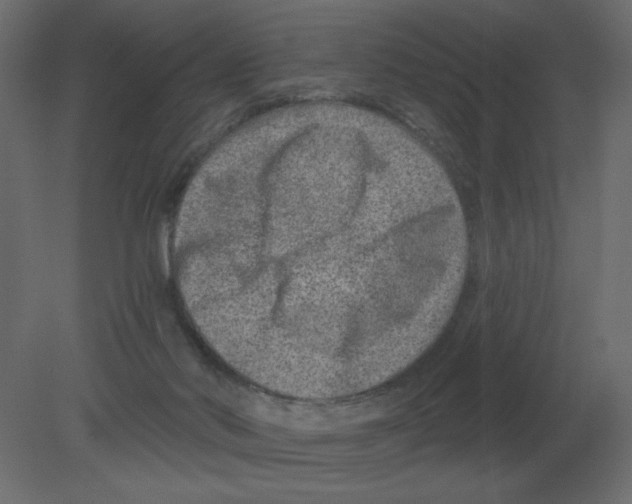 X0000080790022200701122159