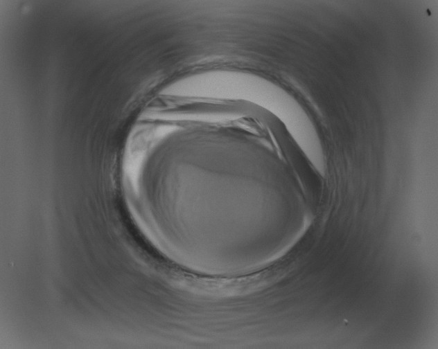 X0000080790023200701122159