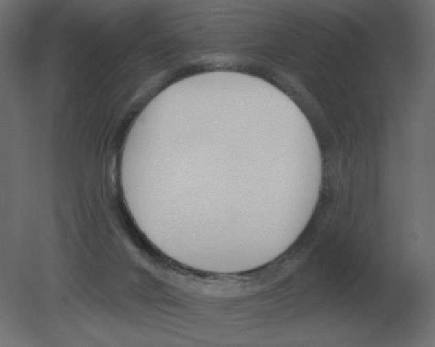 X0000080790024200701122159