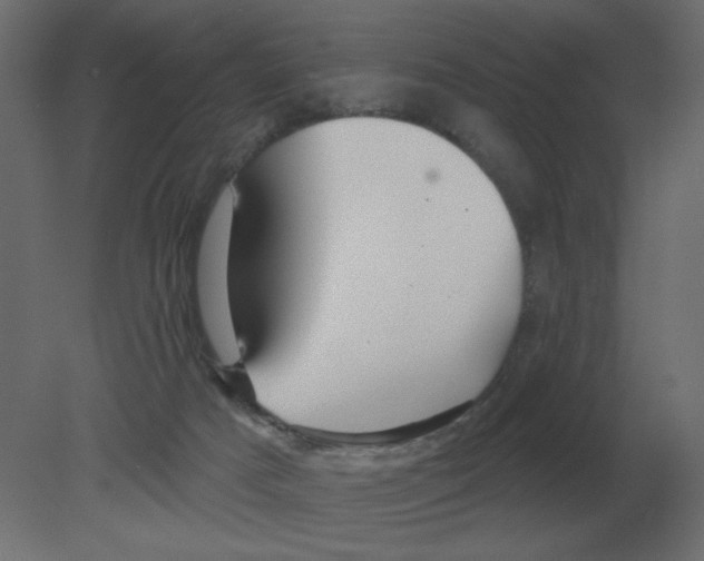 X0000080790025200701122159