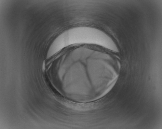 X0000080790027200701122159