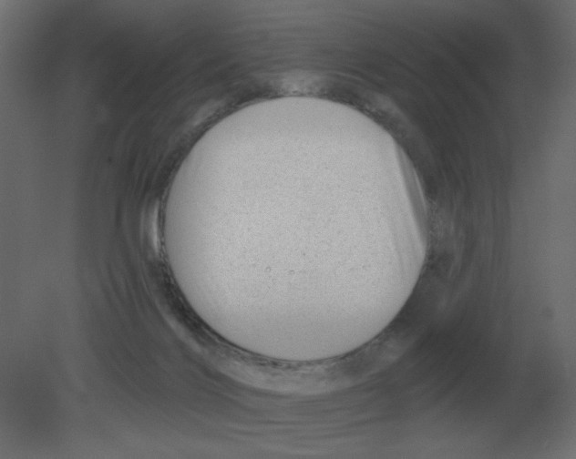 X0000080790028200701122159