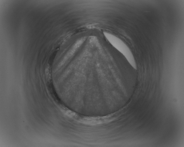 X0000080790029200701122159