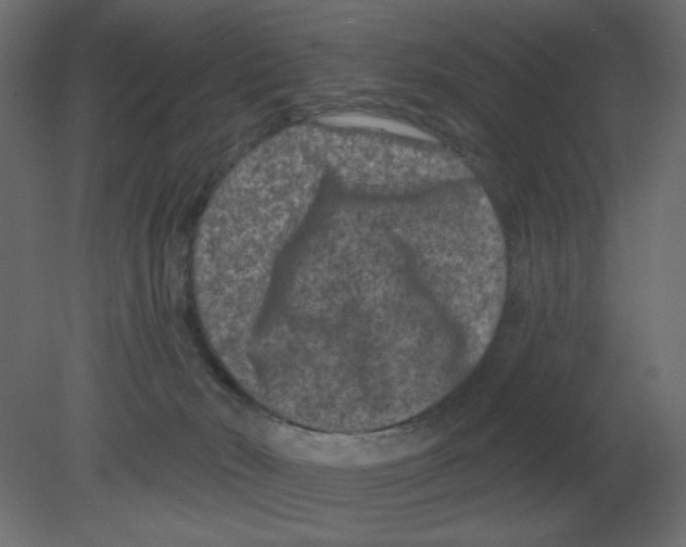 X0000080790030200701122159