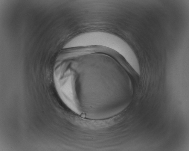 X0000080790031200701122159