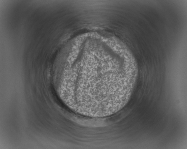 X0000080790032200701122159