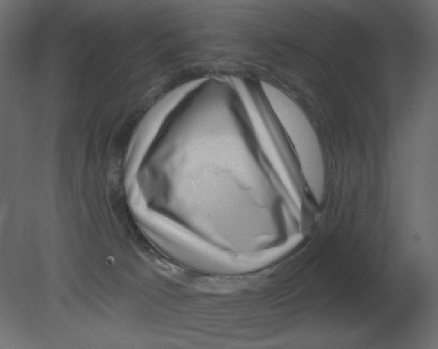 X0000080790033200701122159