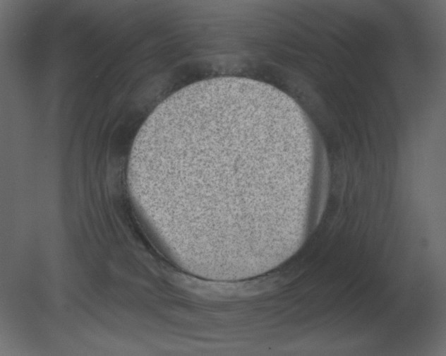 X0000080790034200701122159