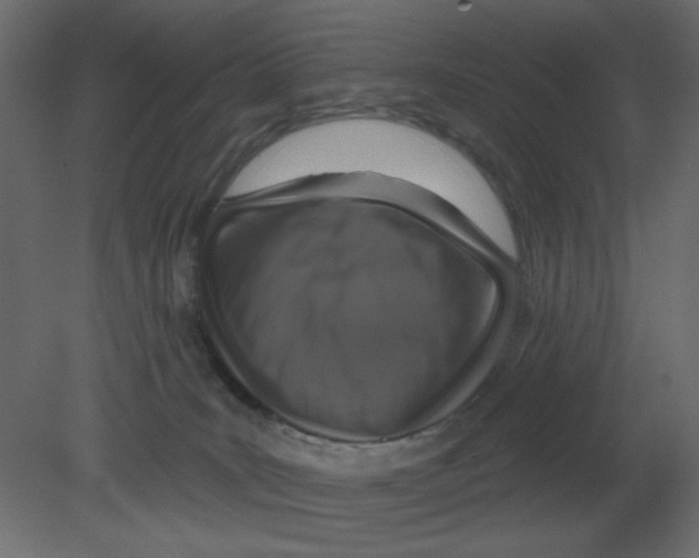 X0000080790035200701122159