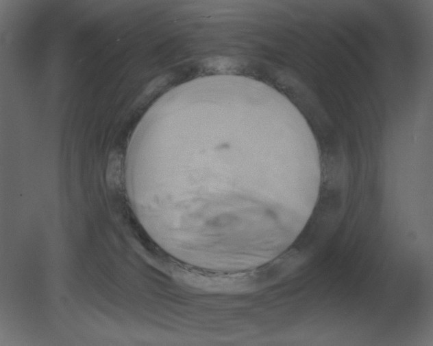 X0000080790036200701122159