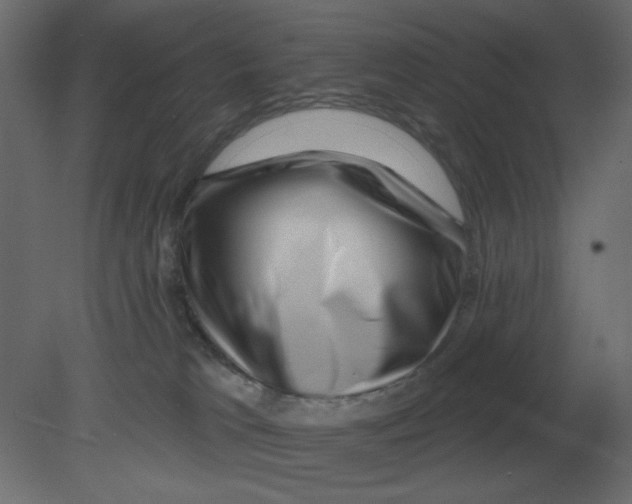 X0000080790037200701122159