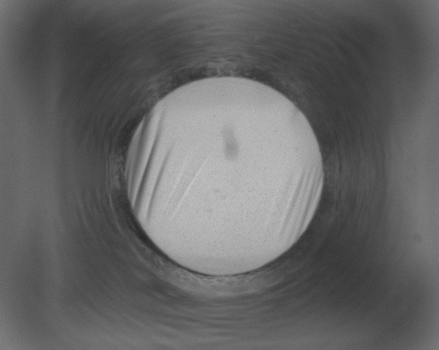 X0000080790038200701122159