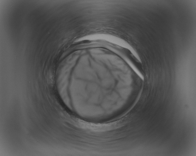 X0000080790039200701122159