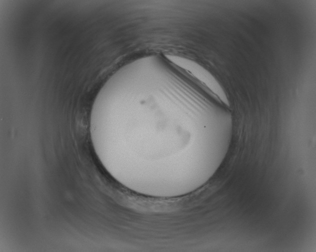 X0000080790040200701122159