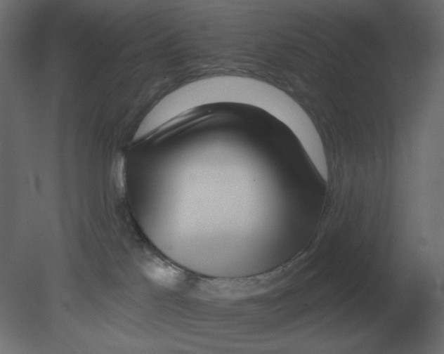 X0000080790041200701122159