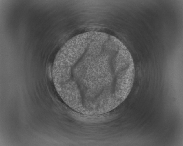 X0000080790042200701122159