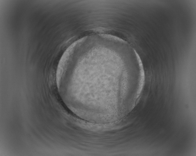 X0000080790043200701122159