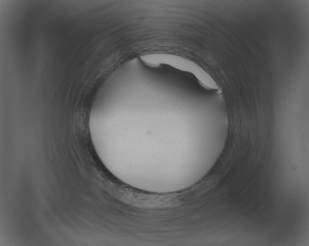 X0000080790044200701122159