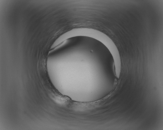 X0000080790045200701122159