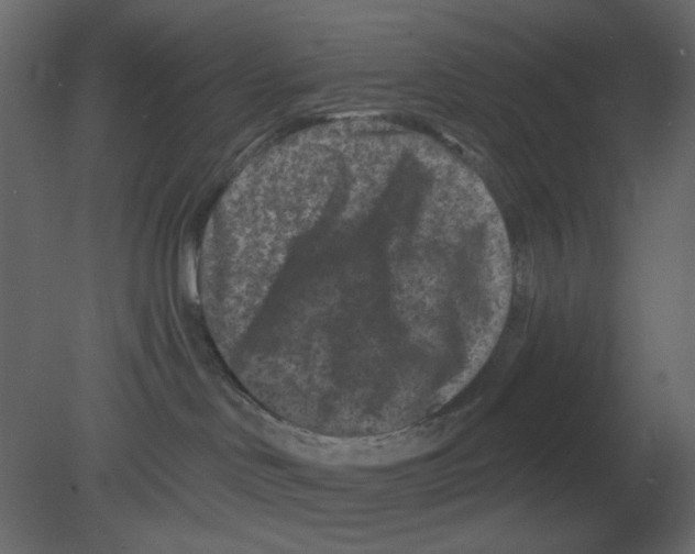 X0000080790046200701122159