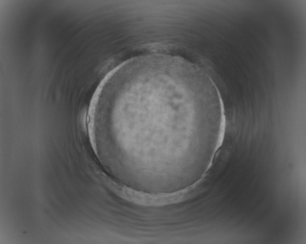 X0000080790047200701122159