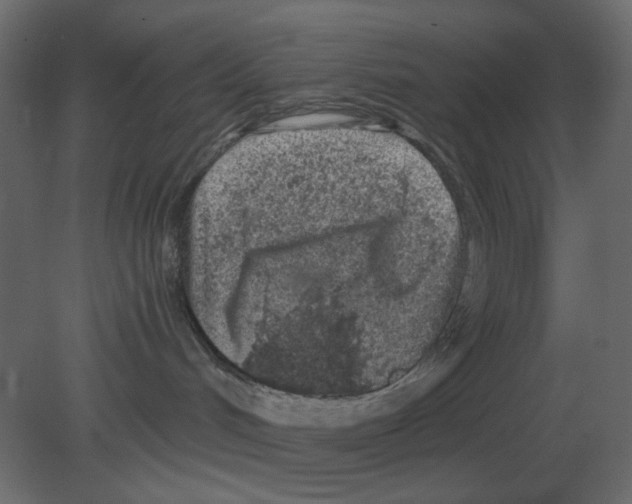 X0000080790048200701122159