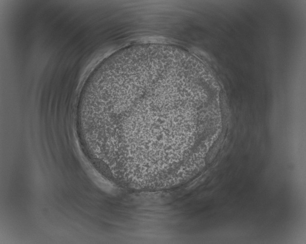 X0000080790049200701122158