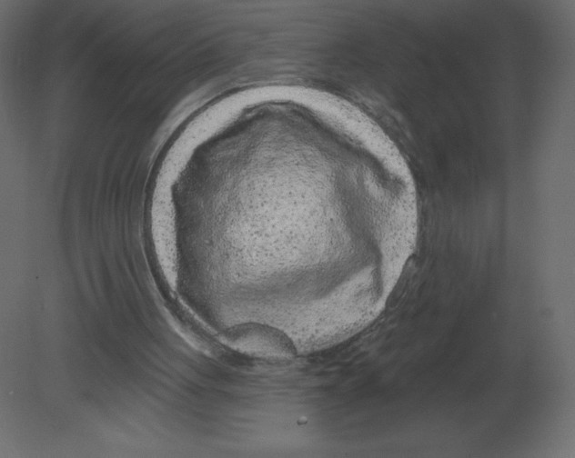 X0000080790051200701122158