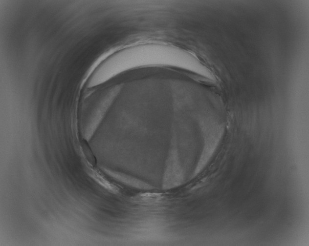 X0000080790052200701122158