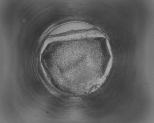 X0000080790053200701122158