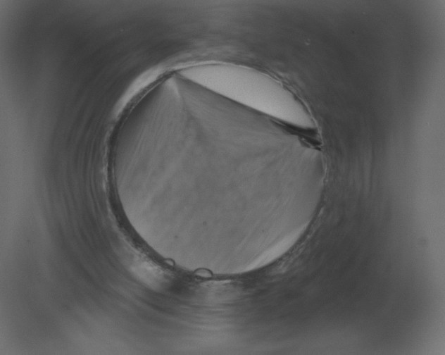 X0000080790054200701122158